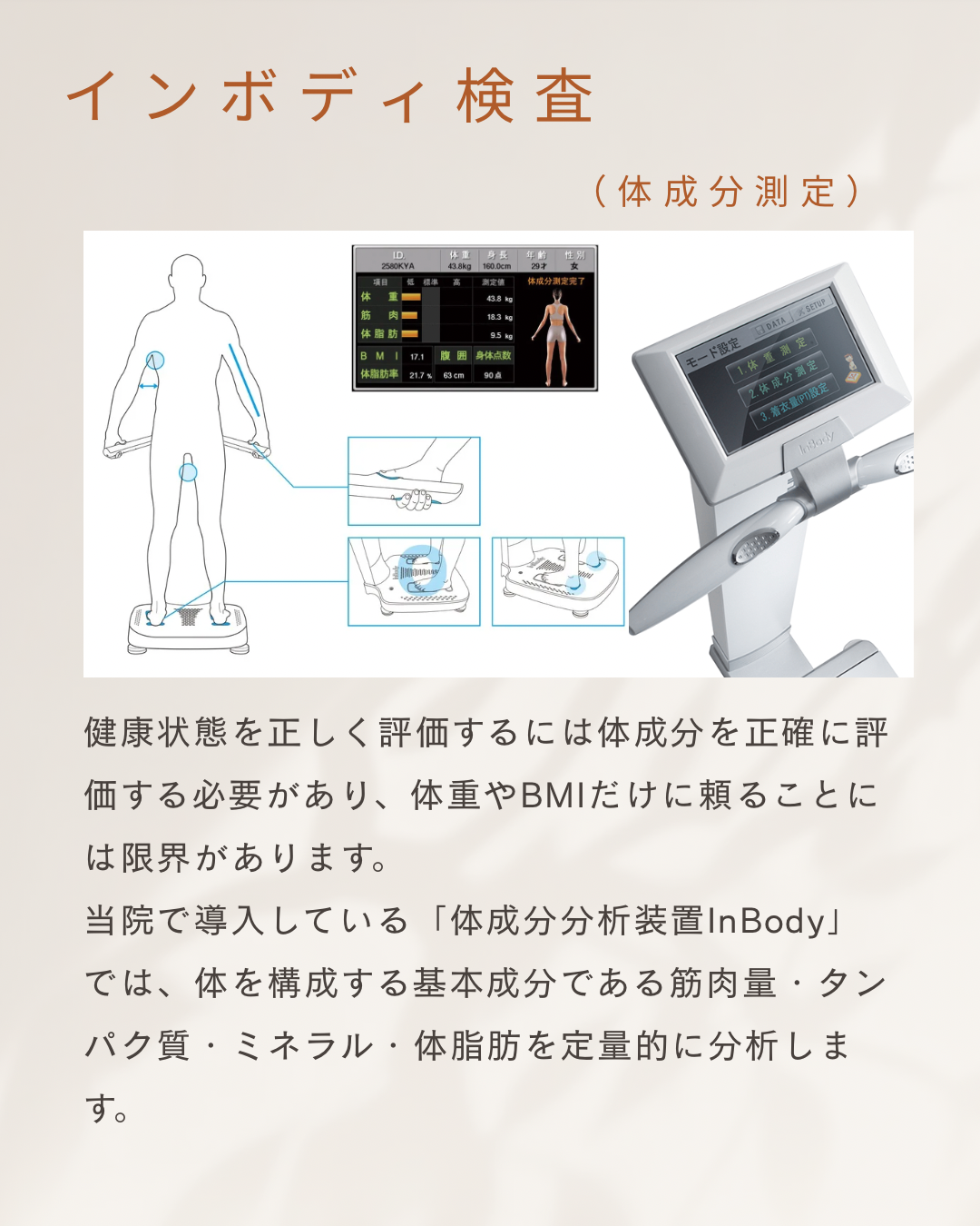 インボディ